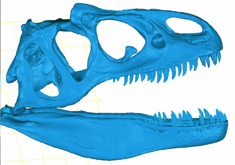 大型食肉恐龙易碎异特龙颅骨的数字模型, 在古生物学研究实验室扫描.